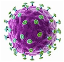 Co je lidský papilomavirus infekce